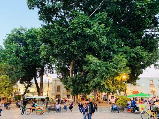 Plaza de la Constitución